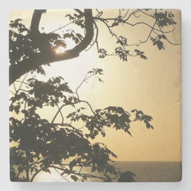 Sunset Through Trees II Tropical Photography Stone Coaster (Front)