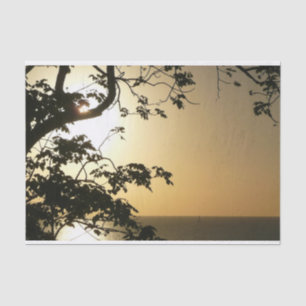 Sunset Through Trees II Tropical Photography Tissue Paper