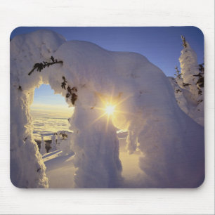Sunset thru the Snowghosts at Big Mountain near Mouse Pad