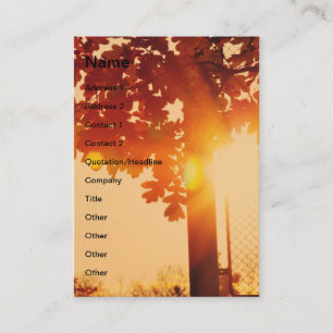 Sunset tree business card