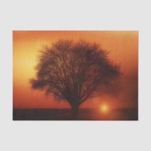 Sunset Tree Decoupage Tissue Paper