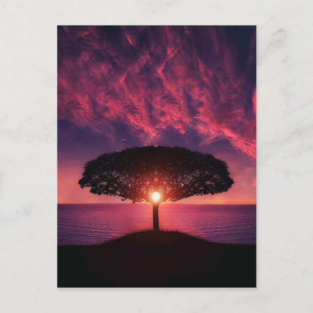 Sunset Tree Postcard (Front)