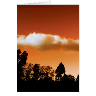 Sunset trees