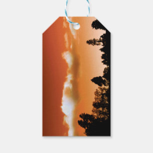 Sunset trees gift tags