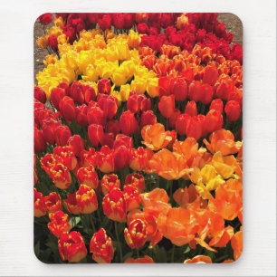 Sunset Tulip Garden Bed, Oregon Mouse Pad