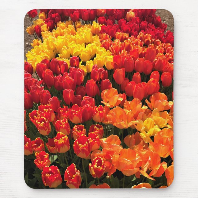 Sunset Tulip Garden Bed, Oregon Mouse Pad (Front)