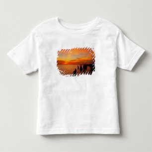 Sunset, Twelve Apostles, Port Campbell National Toddler T-Shirt