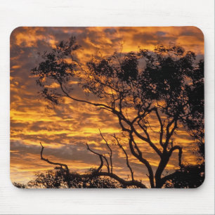 Sunset, Uluru-Kata Tjuta National Park, Mouse Pad