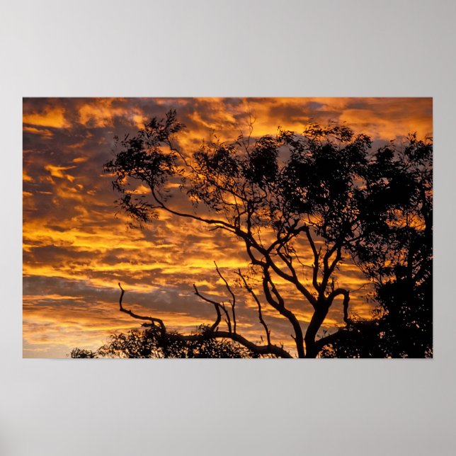 Sunset, Uluru-Kata Tjuta National Park, Poster (Front)