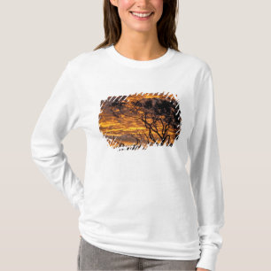 Sunset, Uluru-Kata Tjuta National Park, T-Shirt