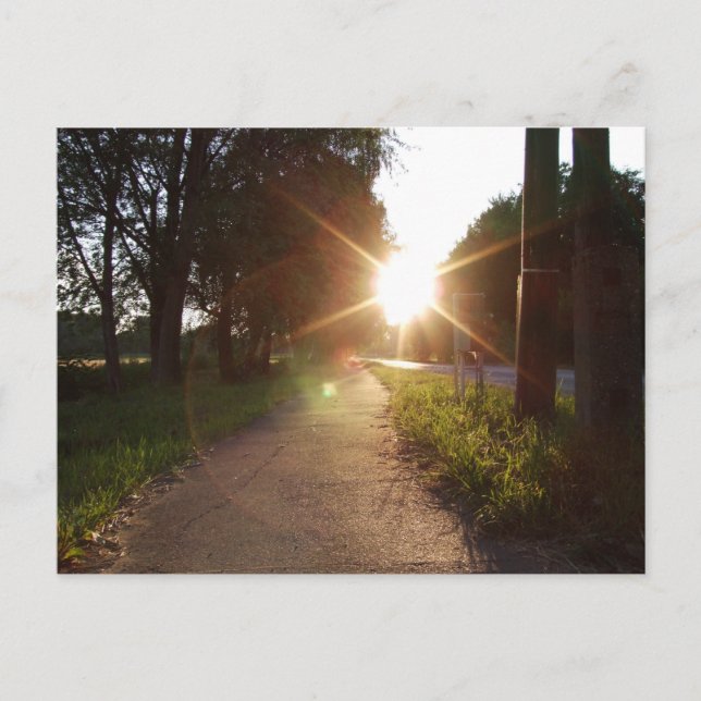 Sunset walk in Hungary Postcard (Front)