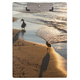 Sunset Walk With Mummy Clipboard