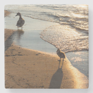 Sunset Walk With Mummy Stone Coaster