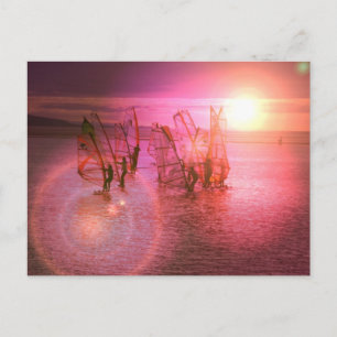 Sunset Windsurfing Postcard