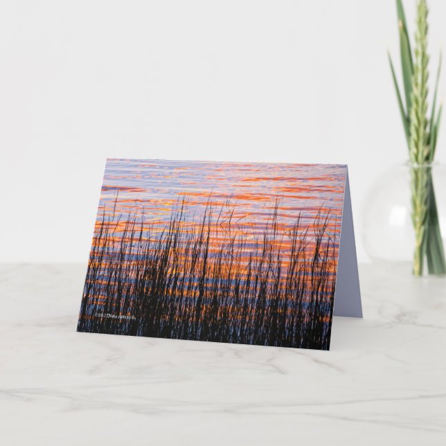 Sunset with Grasses Card (Front)