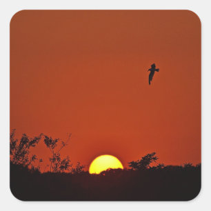 Sunset With Gull Sticker