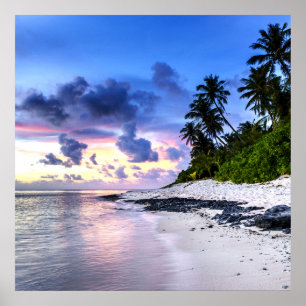 Sunset with Palm Trees and rocky beach Poster