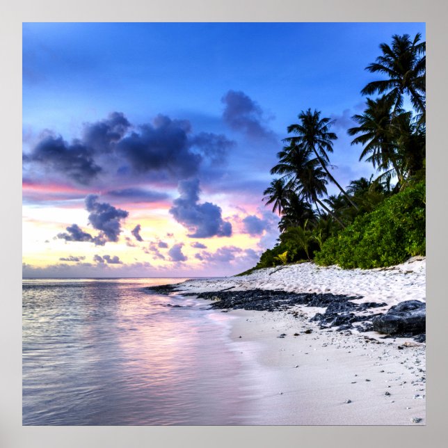 Sunset with Palm Trees and rocky beach Poster (Front)