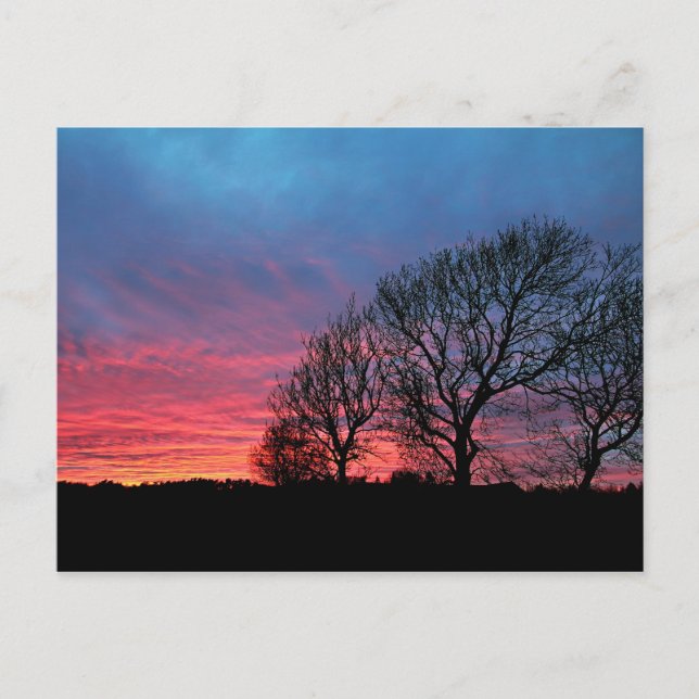 Sunset with red sky postcard (Front)