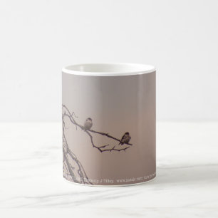Sunset with the Shrikes Coffee Mug