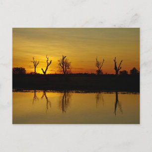 Sunset, Yellow Water Billabong Postcard