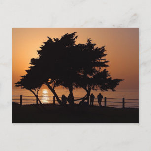 Sunsets La Jolla Postcard