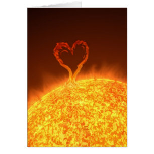 Sunshine
