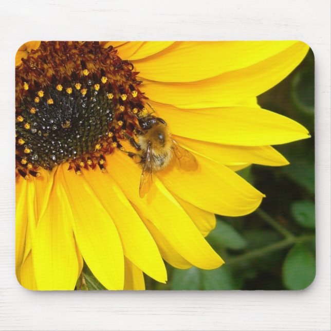 SUNSHINE 4U    Mousepad (Front)