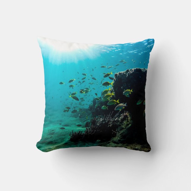 Sunshine and Tropical Fish Cushion (Front)