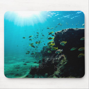 Sunshine and Tropical Fish Mouse Pad