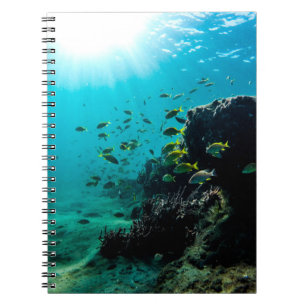 Sunshine and Tropical Fish Notebook