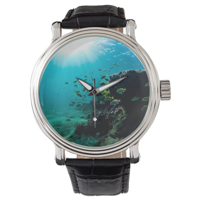 Sunshine and Tropical Fish Watch (Front)