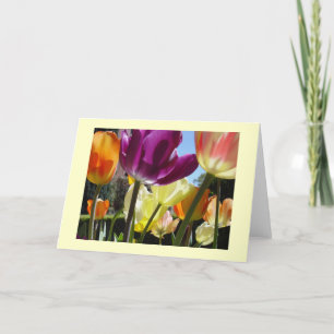 Sunshine Card