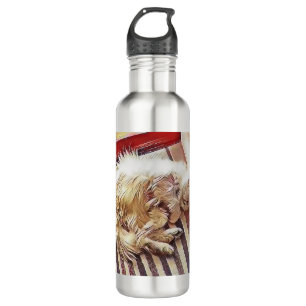 Sunshine Charlie Persian Cat Merchandise 710 Ml Water Bottle