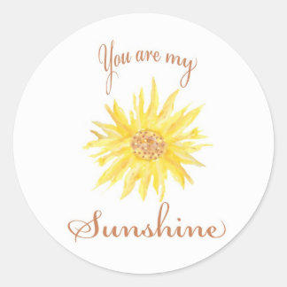 Sunshine Classic Round Sticker