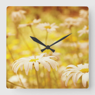 Sunshine Daisies Floral Wall Clock