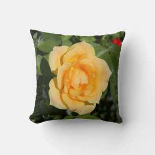 Sunshine Delight... Cushion