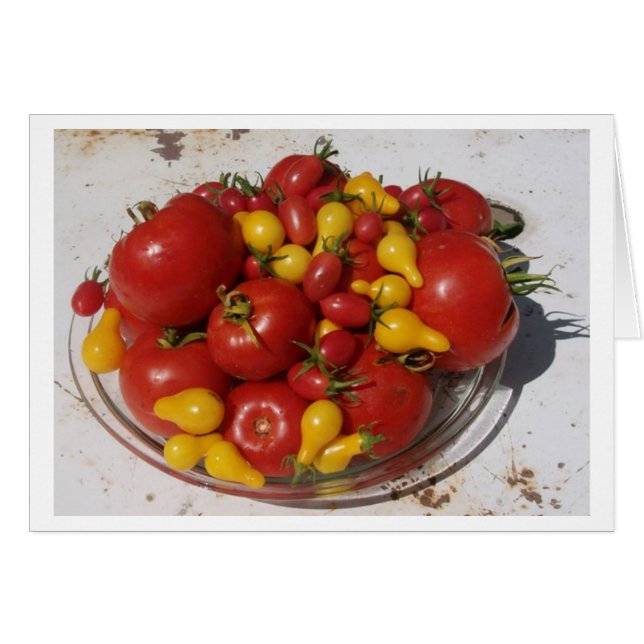 Sunshine Garden Collection ~ Tomatoes (Front Horizontal)