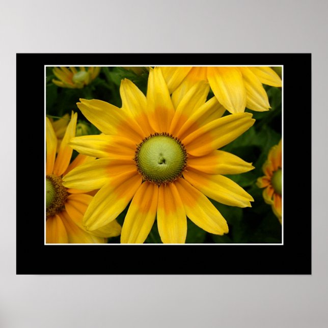 Sunshine II Poster (Front)