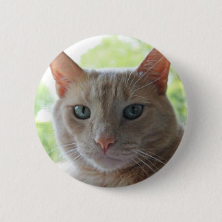 Sunshine Kitty 6 Cm Round Badge