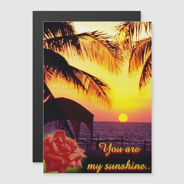 Sunshine Love (Front/Back)