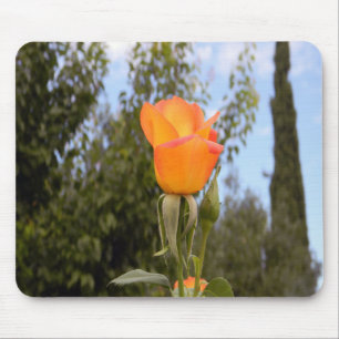 Sunshine.... Mouse Pad