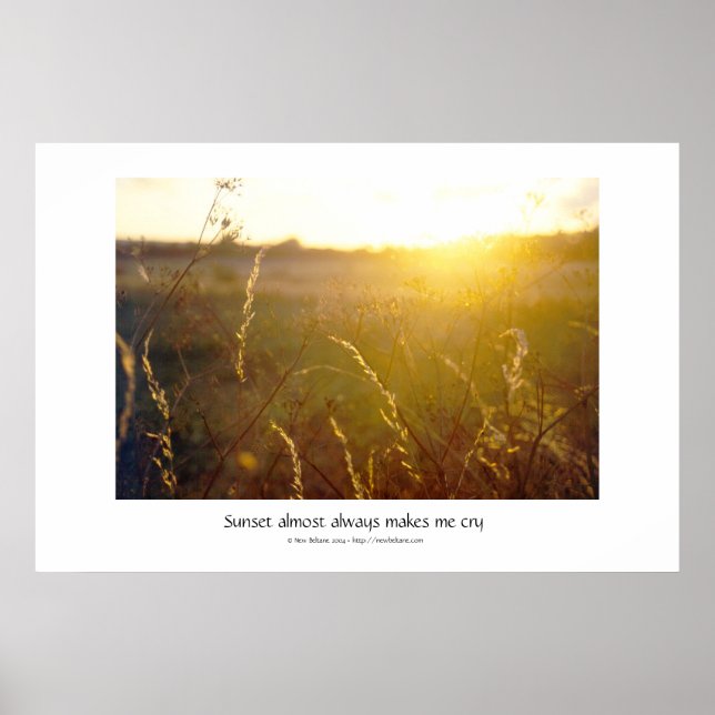 Sunshine Poster (Front)