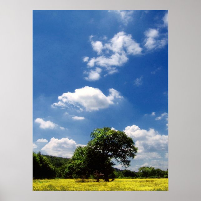 Sunshine Poster (Front)