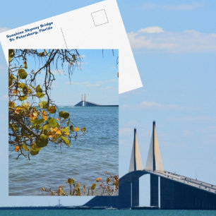 Sunshine Skyway Bridge St Petersburg Photographic Postcard