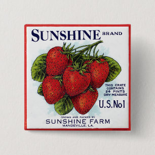 Sunshine Strawberries 15 Cm Square Badge