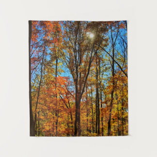Sunshine through Autumn Fall Forest Tapestry