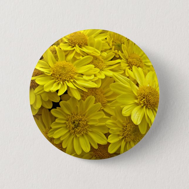 Sunshine Yellow Chrysanthemums 6 Cm Round Badge (Front)