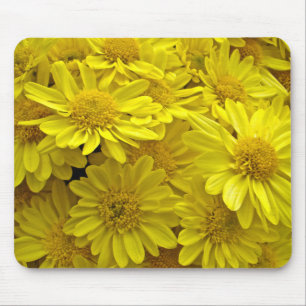 Sunshine Yellow Chrysanthemums Mouse Pad
