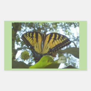 Sunshine Yellow Monarch Rectangular Sticker